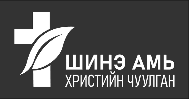 Шинэ Амь
